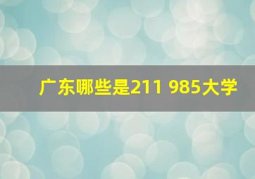 广东哪些是211 985大学